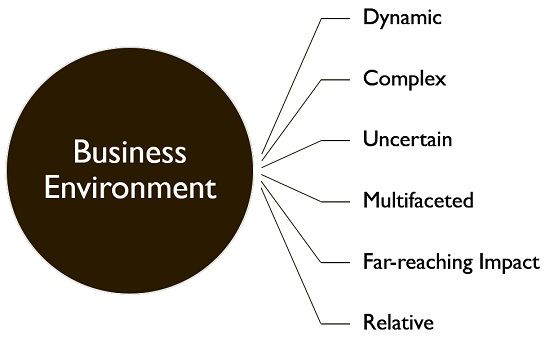 Features of business environment