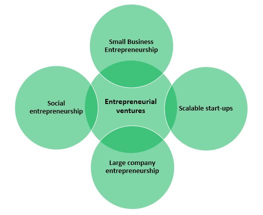 different types of entrepreneurial ventures